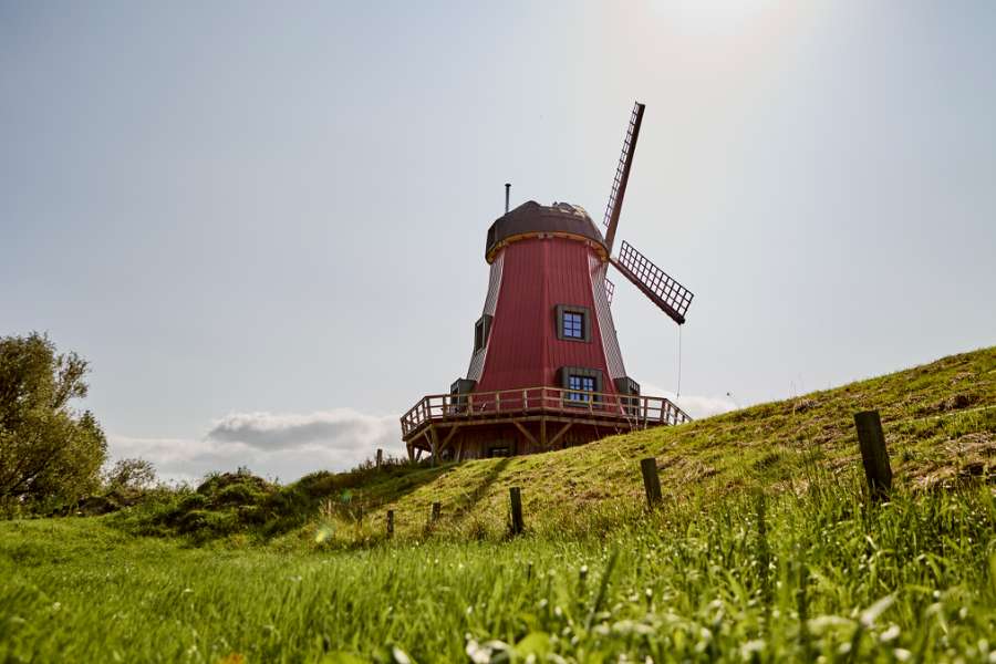 Historisk mølle får nyt liv med pandeplader, An der Fähre 3, 25573 Beidenfleth, Tyskland